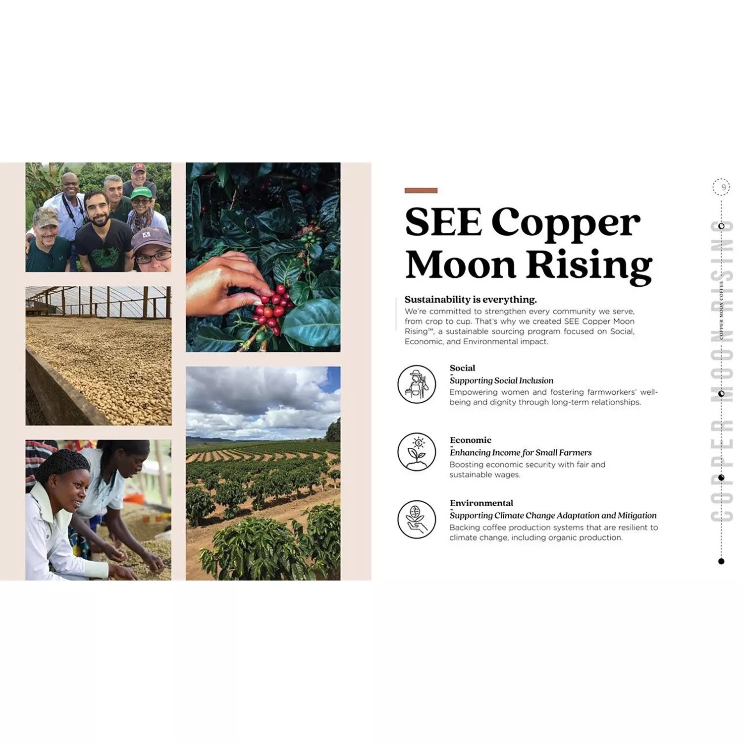 Copper Moon Coffee SingleServe Cups, Discovery Pack (96 ct.) Jarasim